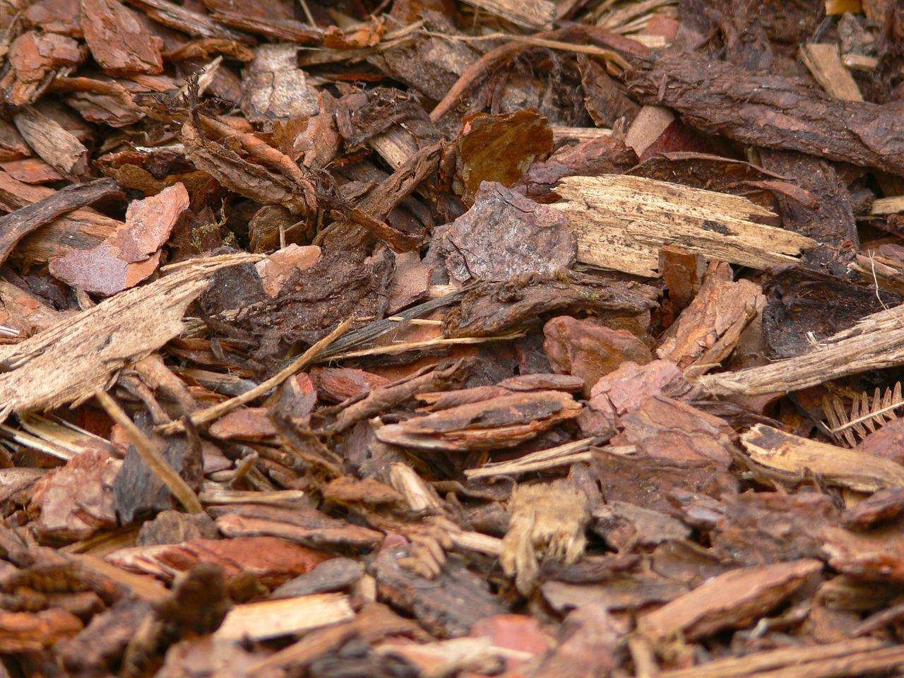 12 Mulching Tips for Florida Landscaping