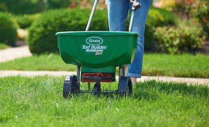 Fertilizing St. Augustine Grass Tips