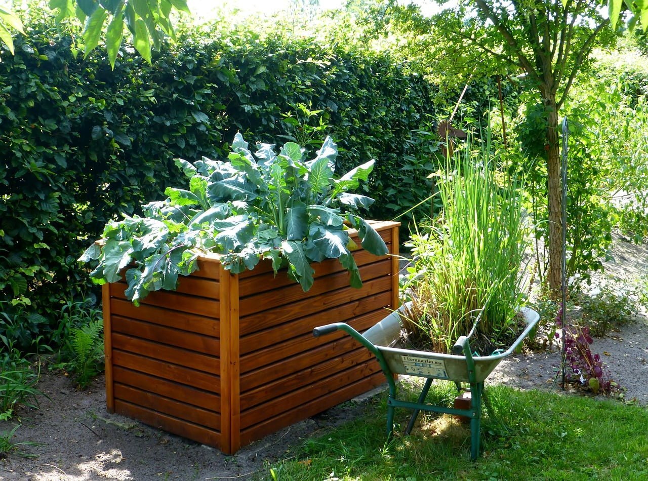 Raised Bed Garden Guide