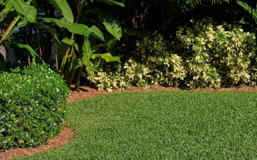 How to Plant St. Augustine Grass Sod and Video