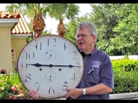 How to Trim Palm Trees in Florida