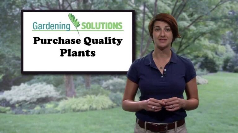 How To Purchase Quality Plants in Florida